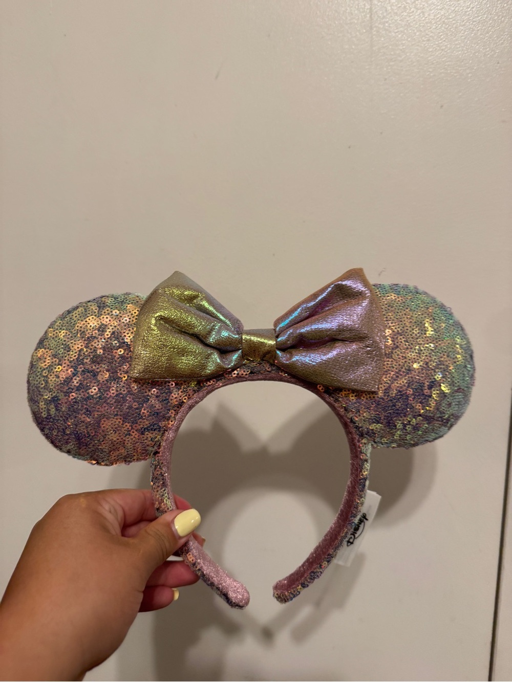 Minnie Mouse Disney Ears